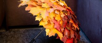 Осенние поделки из листьев своими руками (все новинки для детей детского сада и школы) этап 1