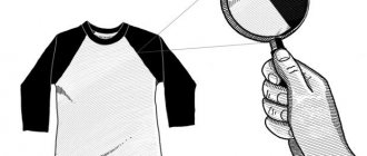 &#39;Raglan sleeve: pattern, learn the correct construction of a raglan from photos and videos&#39;
