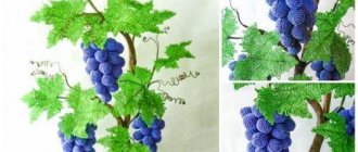 Виноград из бисера со схемами и фото готовых работ